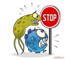 ЗЕЛЕНАЯ АПТЕКА