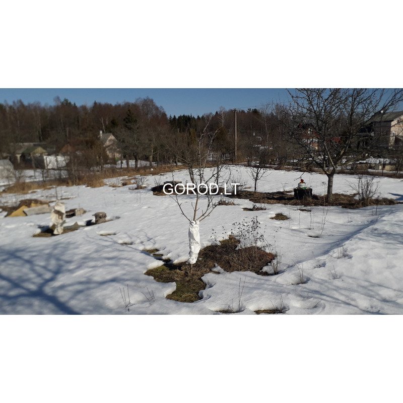 3300-00-eur-statybininkas-9-visaginas-visaginas