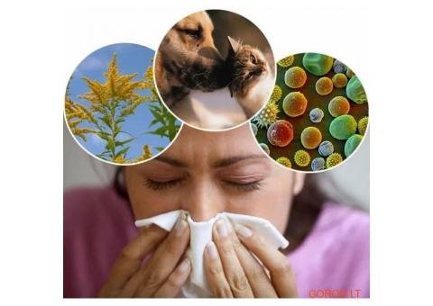 ЗЕЛЕНАЯ АПТЕКА