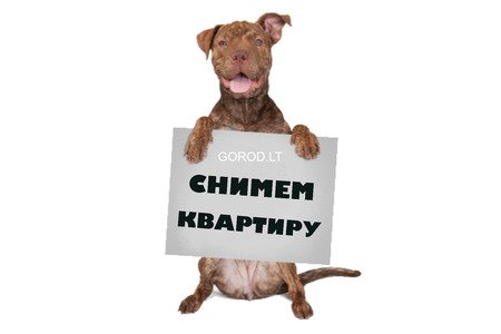 Снимем квартиру