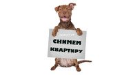 Снимем квартиру