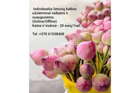 Lietuvių kalbos korepetitorius