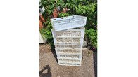 Продам пластмассовые ящики  60*40*15