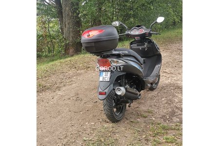 Barton motoroleris
