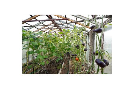 Дача на Павасарис