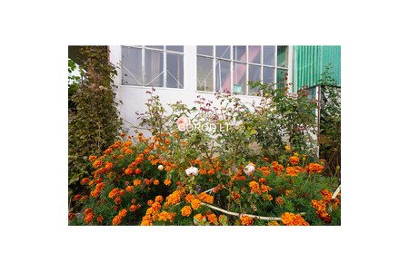 Дача на Павасарис