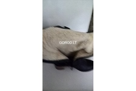 Prodam sapogi i botinki