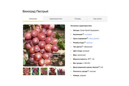 Саженцы винограда