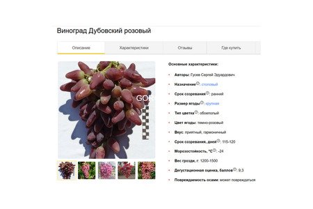Саженцы винограда
