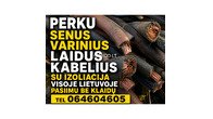 PERKU VARINIUS KABELIUS LAIDUS
