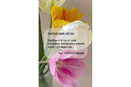 Репетитор по литовскому языку