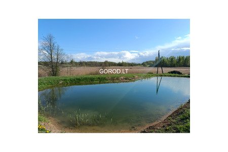 Продается жилой дом с хоз. постройкой и гаражом в Римше.