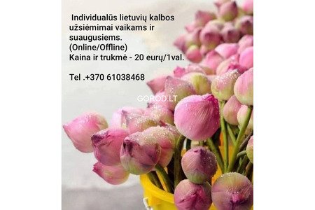 Lietuvių kalbos pamokos
