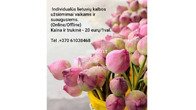 Lietuvių kalbos pamokos