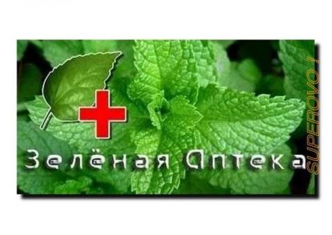 ЗЕЛЕНАЯ АПТЕКА